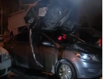 В Петербурге пьяный лихач загнал свою машину на крыши других автомобилей
