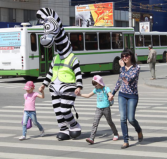 В Волгограде пешеходам помогали переходить дорогу Зебра и три Утки